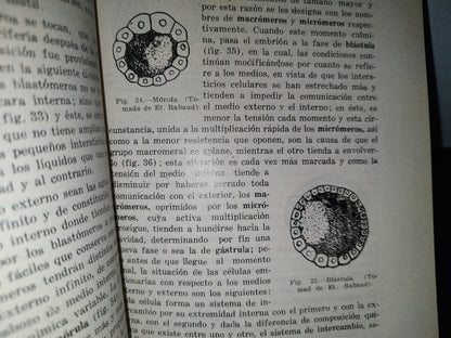 91- Lecciones De Biología General - Fernando Ocaranza - Segunda Edición, México 1931