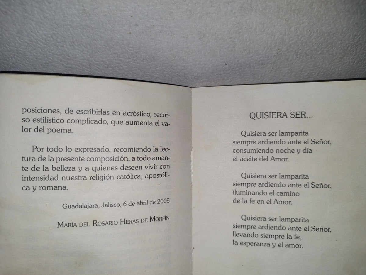 132- Quisiera Ser... Lamparita - Guadalajara, Jalisco 2005
