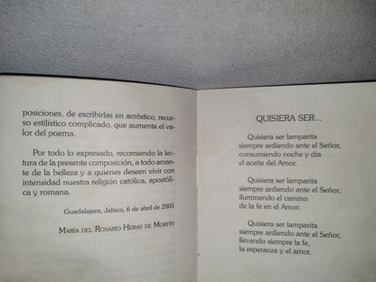 132- Quisiera Ser... Lamparita - Guadalajara, Jalisco 2005
