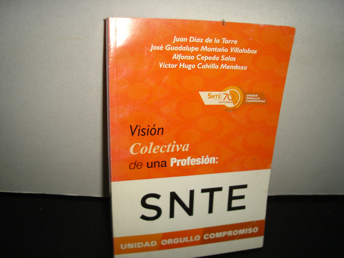 1- Visión Colectiva De Una Profesión: Snte