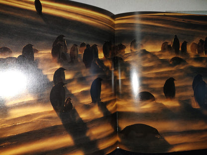 90- Pingüino . Frans Lanting. Editado Por Christine Eckstrom - Taschen - 2011 (Libro Grande)