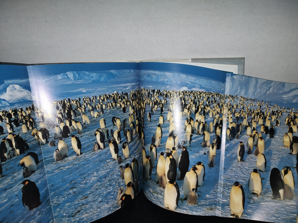 90- Pingüino . Frans Lanting. Editado Por Christine Eckstrom - Taschen - 2011 (Libro Grande)