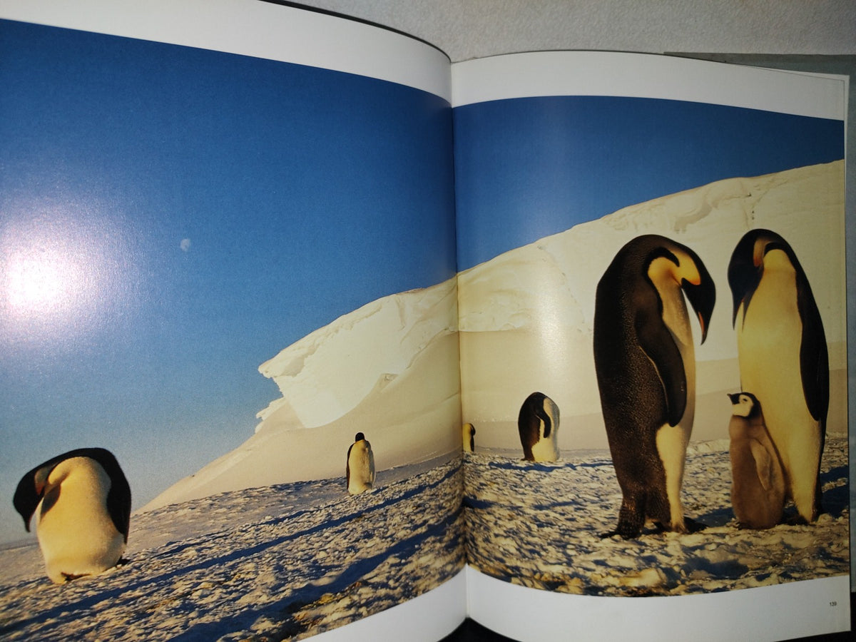 90- Pingüino . Frans Lanting. Editado Por Christine Eckstrom - Taschen - 2011 (Libro Grande)