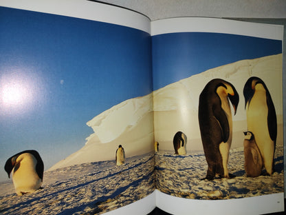 90- Pingüino . Frans Lanting. Editado Por Christine Eckstrom - Taschen - 2011 (Libro Grande)