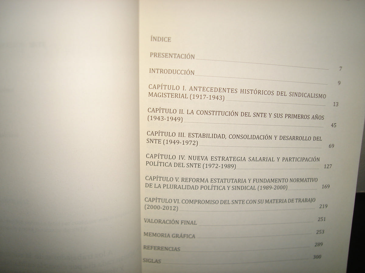 1- Visión Colectiva De Una Profesión: Snte