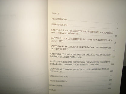 1- Visión Colectiva De Una Profesión: Snte