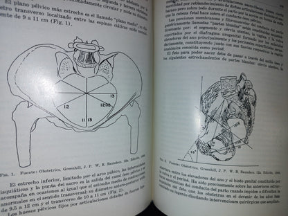 114- Actualidades En Ginecología Y Obstetricia - México 1970