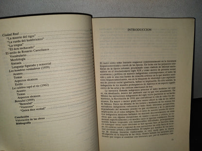 58- La Narrativa Indigenista Mexicana Del Siglo Xx - Sylvia Bigas Torres - Primera Edición 1990