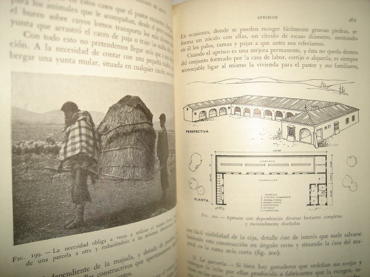 167- Alojamiento Para El Ganado - Santiago Matallana Ventura - Salvat Editores, S. A., 1953