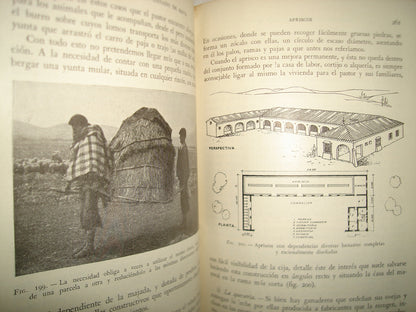 167- Alojamiento Para El Ganado - Santiago Matallana Ventura - Salvat Editores, S. A., 1953