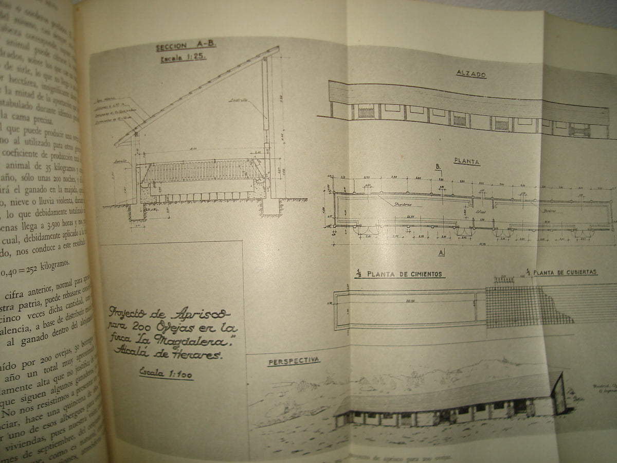 167- Alojamiento Para El Ganado - Santiago Matallana Ventura - Salvat Editores, S. A., 1953
