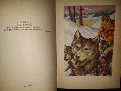 198- Le Grand Silence Blanc - Louis-Frédéric Rouquette. Bibliothèque Rouge Et Or - 50's