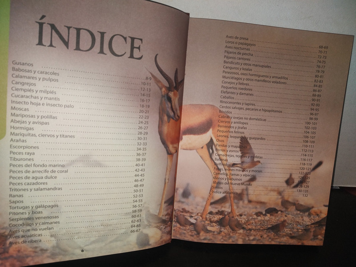 96- Enciclopedia De Los Animales - Ediciones Saldaña, S. A. - 2000'S