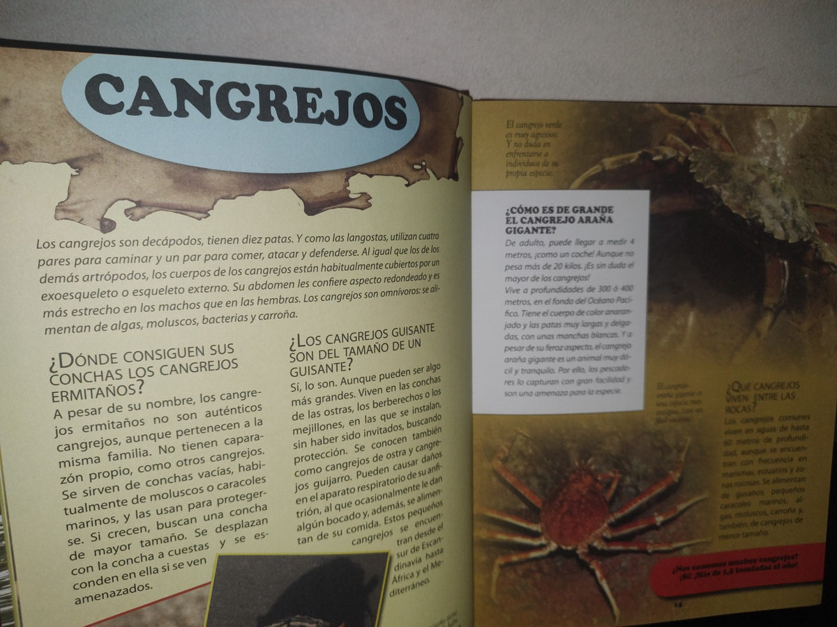 96- Enciclopedia De Los Animales - Ediciones Saldaña, S. A. - 2000'S