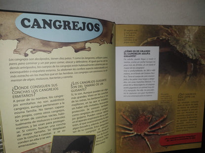 96- Enciclopedia De Los Animales - Ediciones Saldaña, S. A. - 2000'S