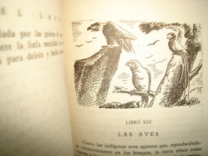 171- Por Los Campos De México - Rafael Landívar - 1942
