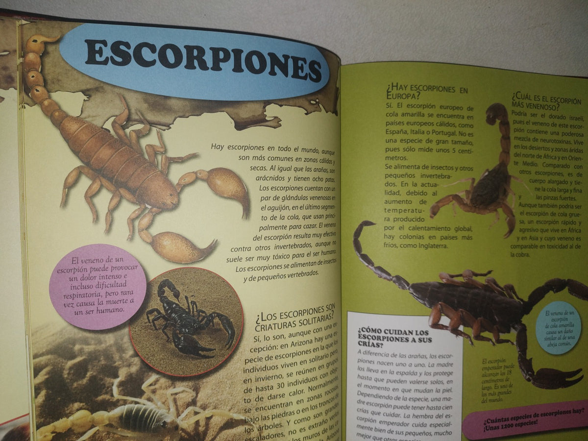 96- Enciclopedia De Los Animales - Ediciones Saldaña, S. A. - 2000'S