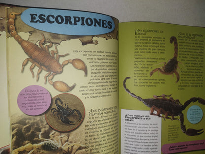 96- Enciclopedia De Los Animales - Ediciones Saldaña, S. A. - 2000'S