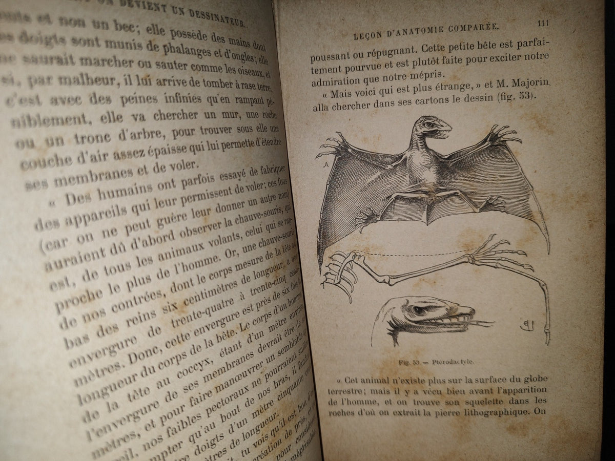 64- Cómo Volverse Dibujante. Comment On Devient Un Dessinateur - E. Viollet-Le-Duc - 1800'S