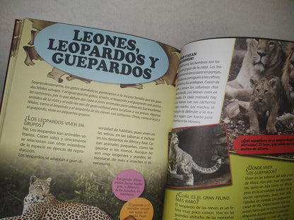 96- Enciclopedia De Los Animales - Ediciones Saldaña, S. A. - 2000'S