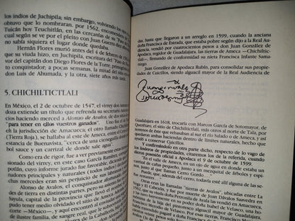 83- Ameca. Protofundación Mexicana - Jesús Amaya - UNED. Gobierno De Jalisco,1983