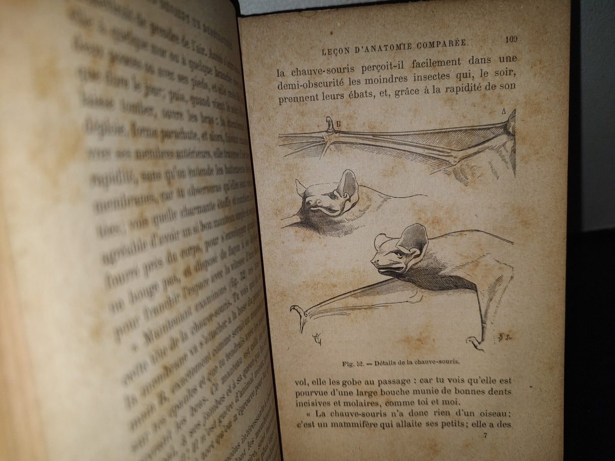 64- Cómo Volverse Dibujante. Comment On Devient Un Dessinateur - E. Viollet-Le-Duc - 1800'S