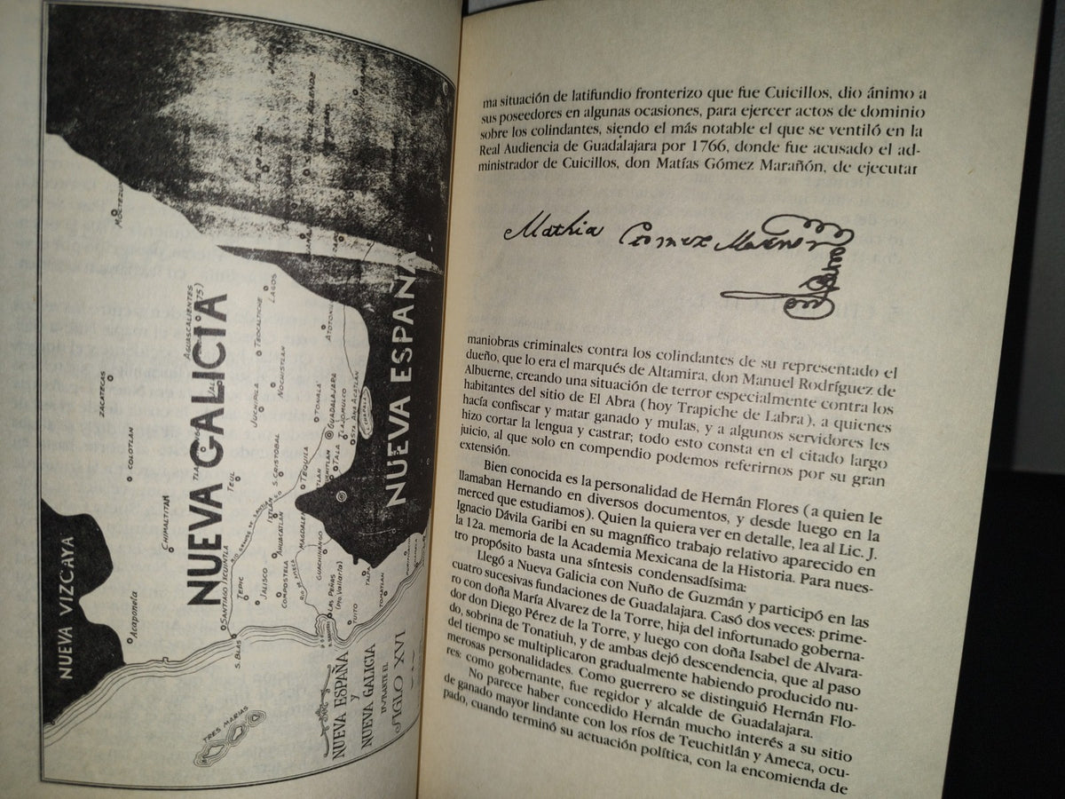 83- Ameca. Protofundación Mexicana - Jesús Amaya - UNED. Gobierno De Jalisco,1983