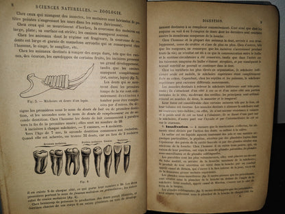 64- Francés. Précis D'Histoire Naturelle - Alphonse Milne-Edwards - 1897