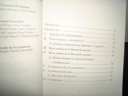 10- Cuadernos De Jurisprudencia. La Libertad De Expresión Y El Derecho A Manifestarse