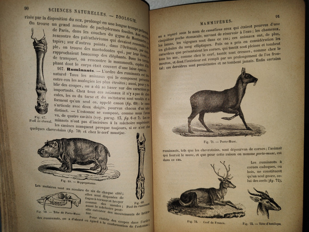 64- Francés. Précis D'Histoire Naturelle - Alphonse Milne-Edwards - 1897