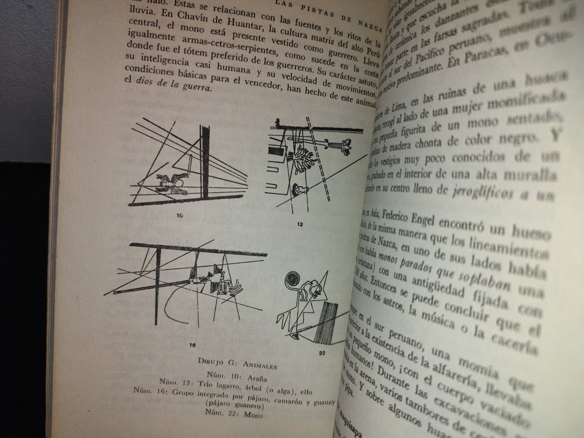 114- Las Pistas De Nazca - Simone Waisbard - Editorial Diana. Primera Edición 1981