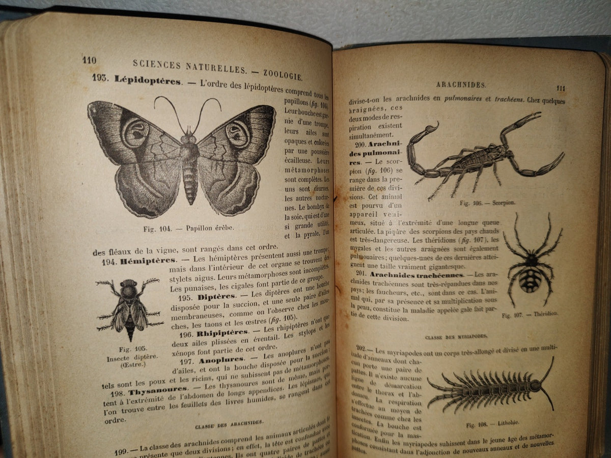 64- Francés. Précis D'Histoire Naturelle - Alphonse Milne-Edwards - 1897