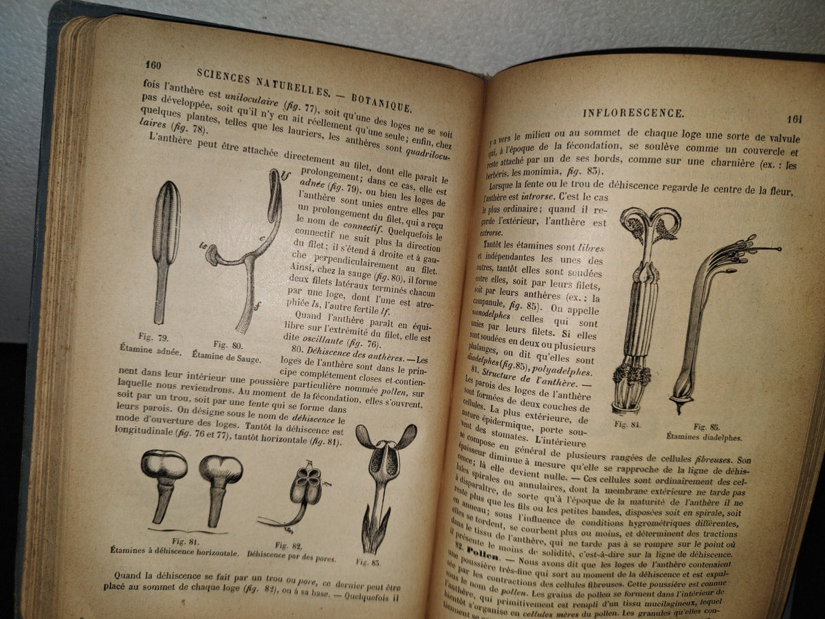 64- Francés. Précis D'Histoire Naturelle - Alphonse Milne-Edwards - 1897