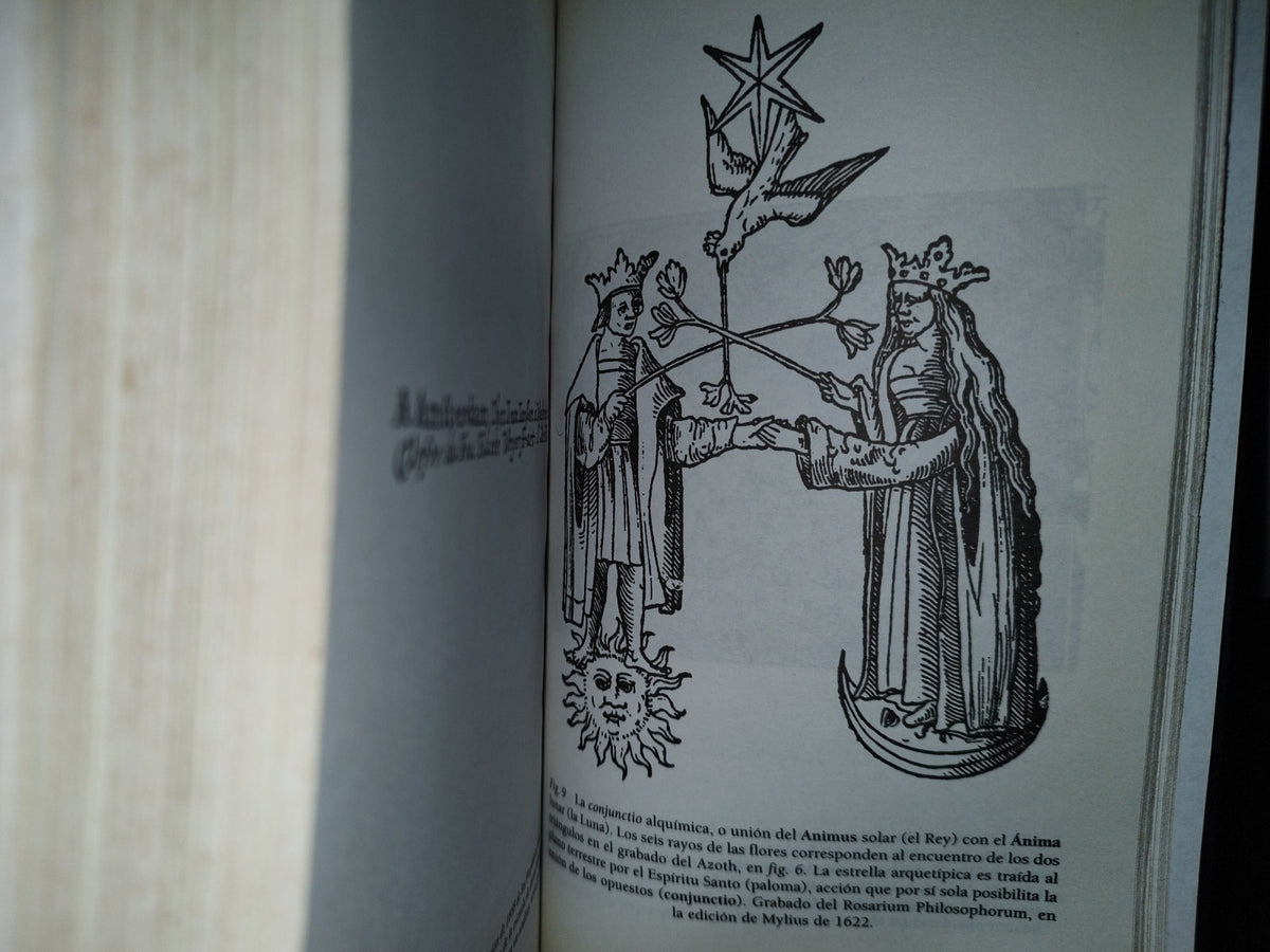 57- Los Secretos De Nostradamus - David Ovason - Plaza & Janés Editores. Primera Edición México: Mayo, 1998