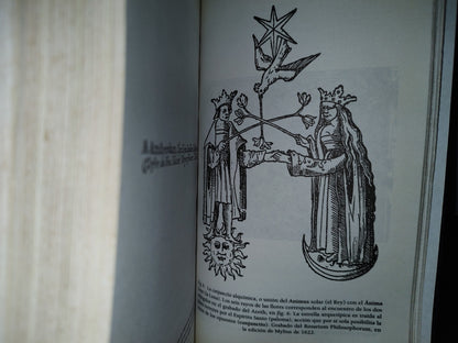 57- Los Secretos De Nostradamus - David Ovason - Plaza & Janés Editores. Primera Edición México: Mayo, 1998