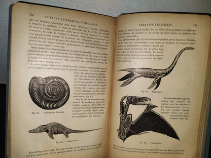 64- Francés. Précis D'Histoire Naturelle - Alphonse Milne-Edwards - 1897