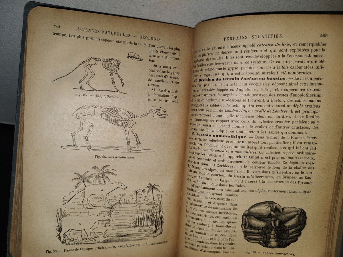 64- Francés. Précis D'Histoire Naturelle - Alphonse Milne-Edwards - 1897