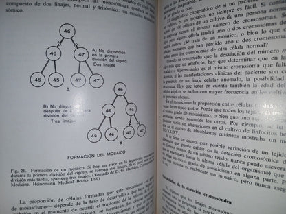 124- Trastornos Cromosómicos. Introducción Para El Clínico - G. H. Valentine