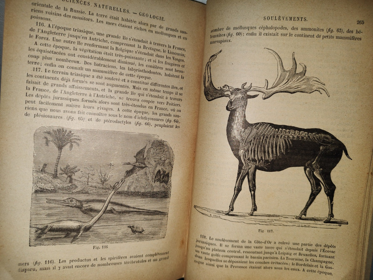 64- Francés. Précis D'Histoire Naturelle - Alphonse Milne-Edwards - 1897