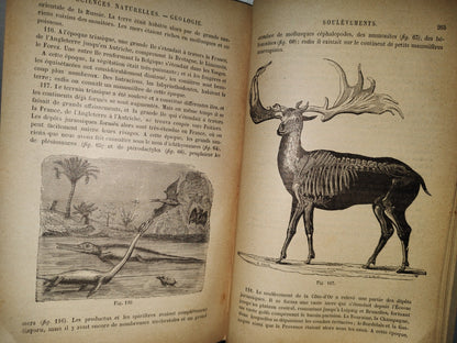 64- Francés. Précis D'Histoire Naturelle - Alphonse Milne-Edwards - 1897