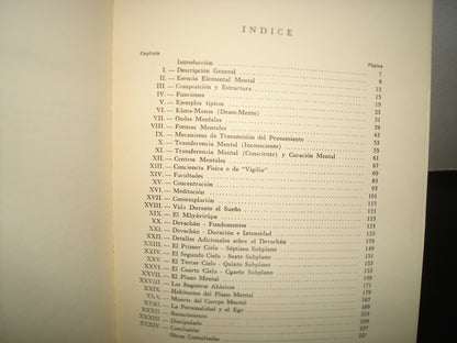 10- Desgracia - J. M. Coetzee