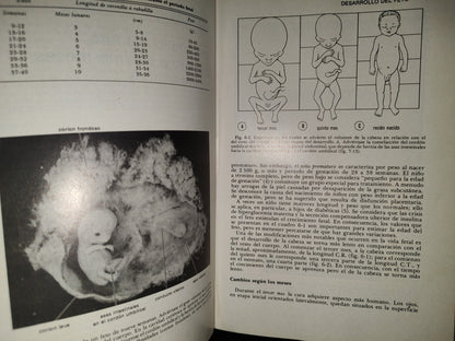 99- Embriología Médica - Dr. Jan Langman - Nueva Editorial Interamericana - 1976