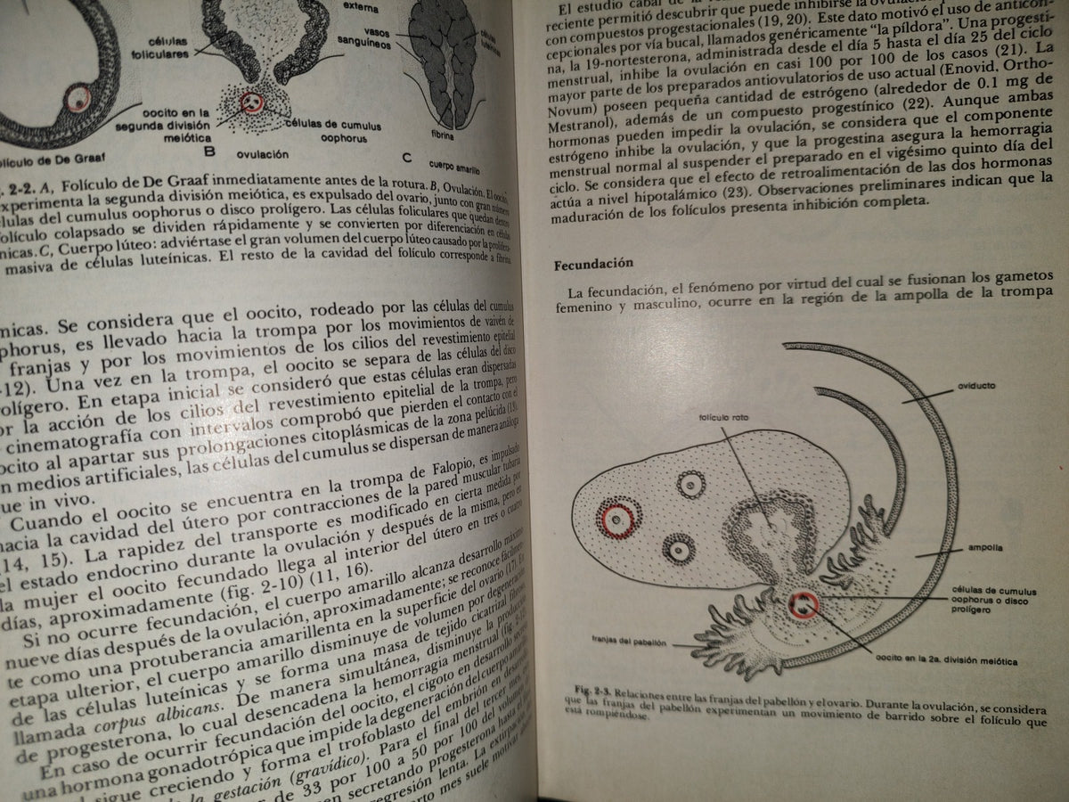 99- Embriología Médica - Dr. Jan Langman - Nueva Editorial Interamericana - 1976