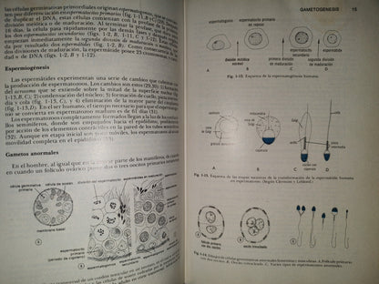 99- Embriología Médica - Dr. Jan Langman - Nueva Editorial Interamericana - 1976