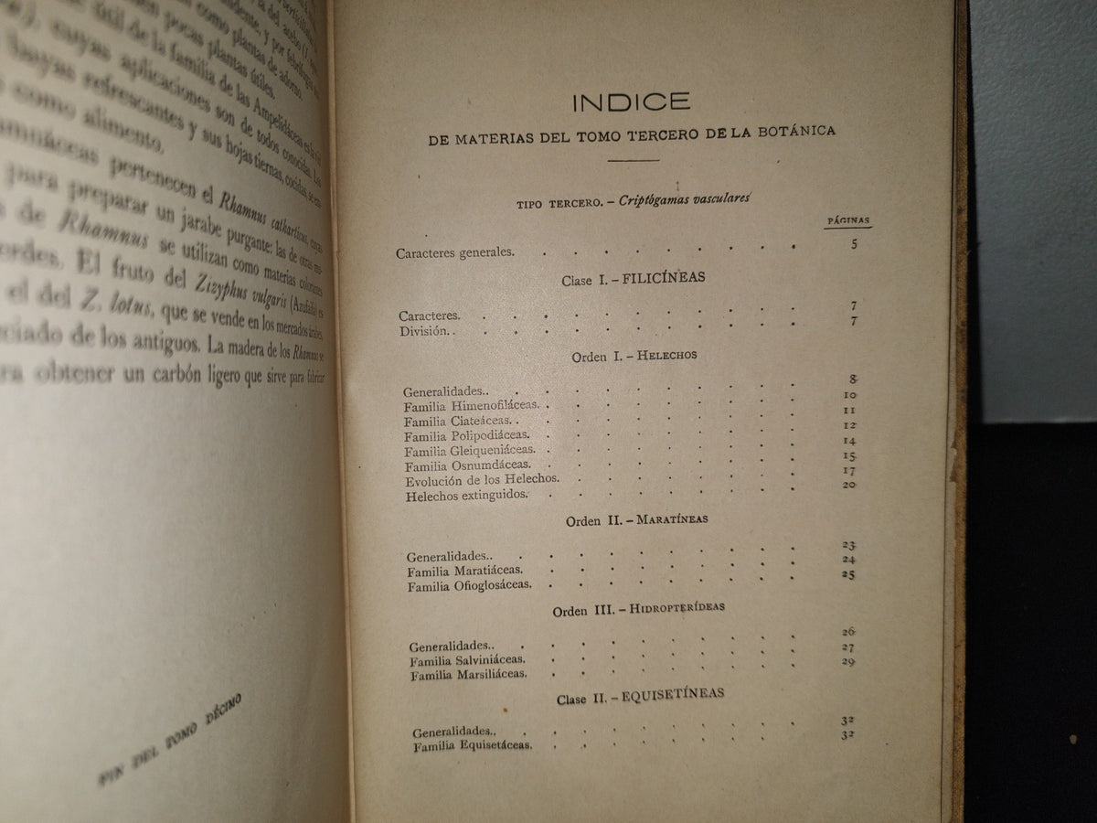 64- Historia Natural. Botánica. Don Odón De Buen, Tomo Décimo. Botánica Iii - 1920