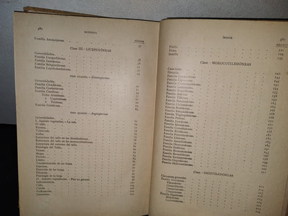 64- Historia Natural. Botánica. Don Odón De Buen, Tomo Décimo. Botánica Iii - 1920