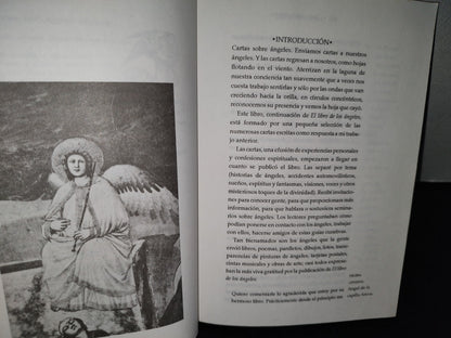 38- Cartas Sobre Ángeles - Sophy Burnham