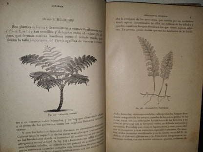 64- Historia Natural. Botánica. Don Odón De Buen, Tomo Décimo. Botánica Iii - 1920