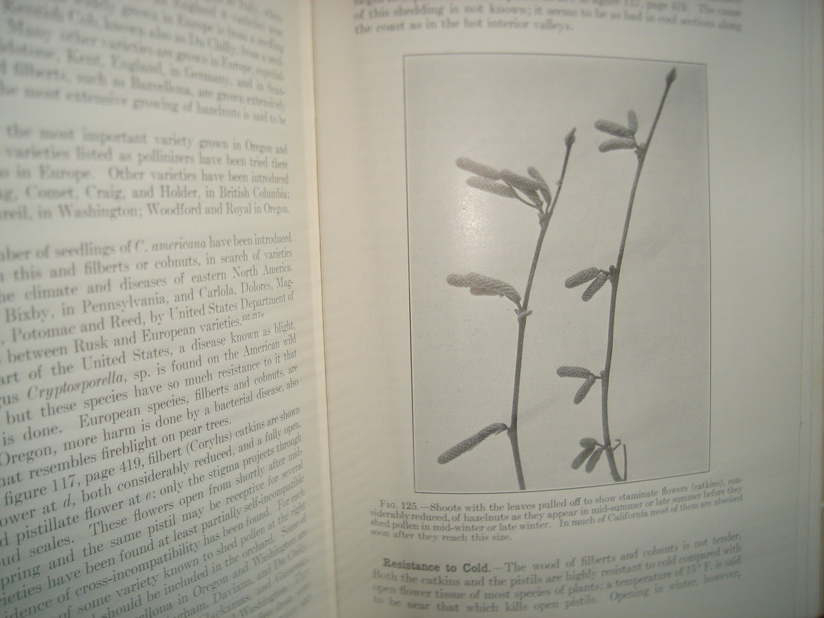 160- Inglés - Libro Sobre Huertos / Decidious Orchards - William Henry Chandler - Lea & Febiger. Phildelphia, 1957