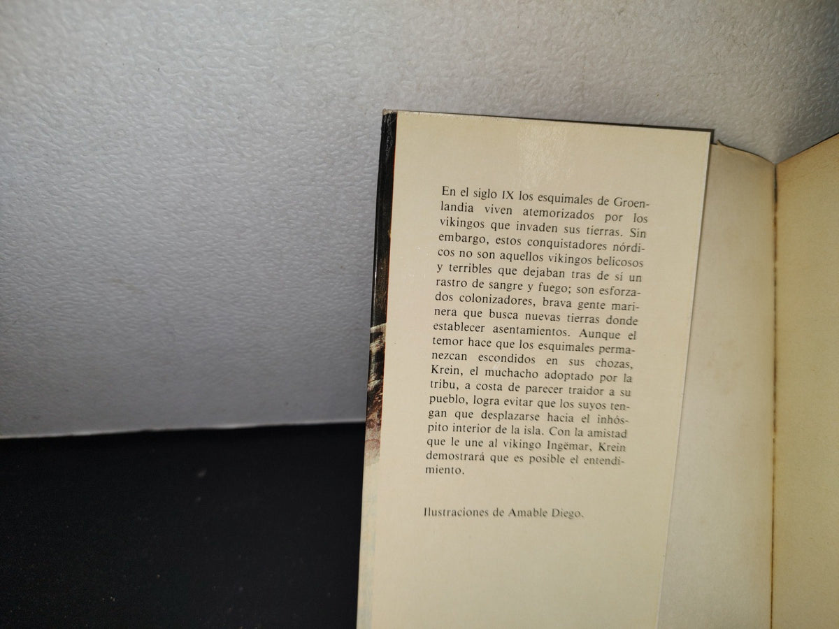 68- Vikingos Al Remo - Carmen Pérez Avello - 1982